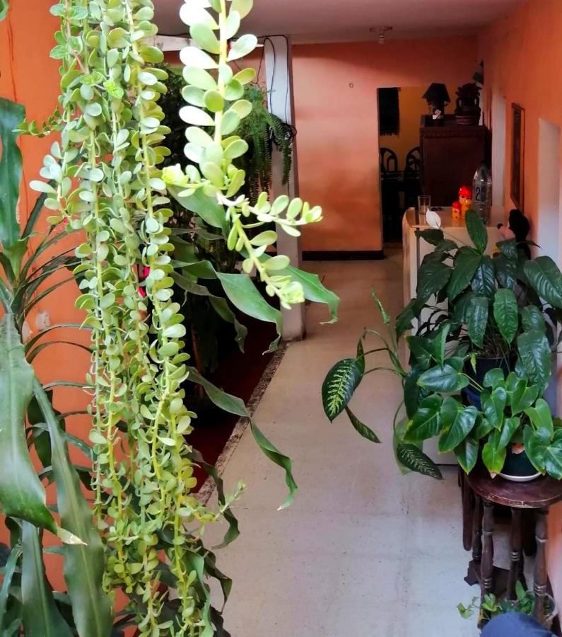 Casa De Leon Hotel Antigua Екстериор снимка